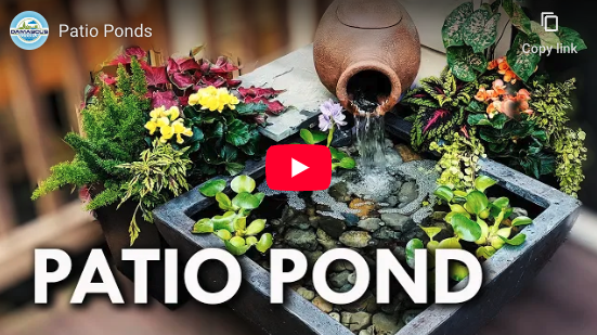 Patio Ponds